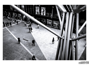 personal_project lagarty_photo napoli life_in_street