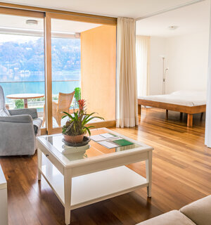 svizzera houses real_estate