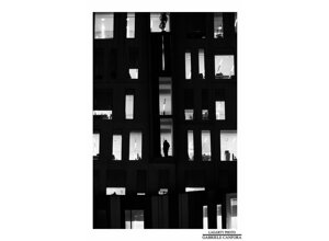personal_project lagarty_photo windows milan