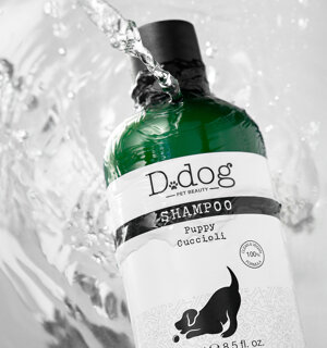 Ddog shampoo Still life ecommerce
