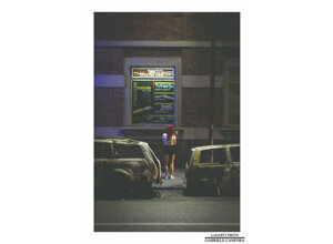 torino personal_project lagarty_photo life_in_street