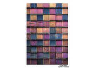 personal_project lagarty_photo windows milan