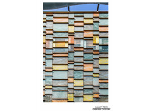 personal_project lagarty_photo windows milan