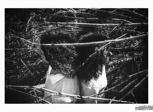 personal_project lagarty_photo twice