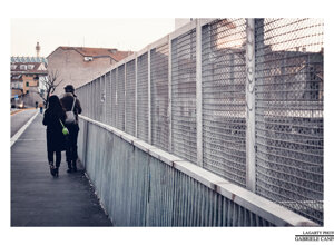 milan personal_project lagarty_photo life_in_street