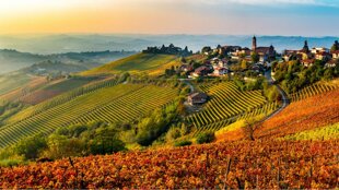 langhe_duchessa_lia.jpeg