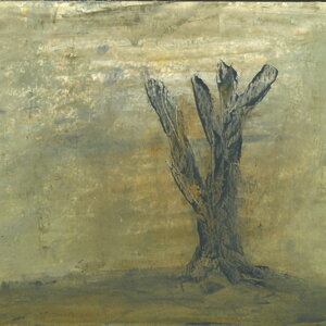 skm_c55824121609360_0053.jpeg skm_c55824121609360_0053.jpeg