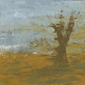 20240307114322_00006.jpeg 20240307114322_00006.jpeg