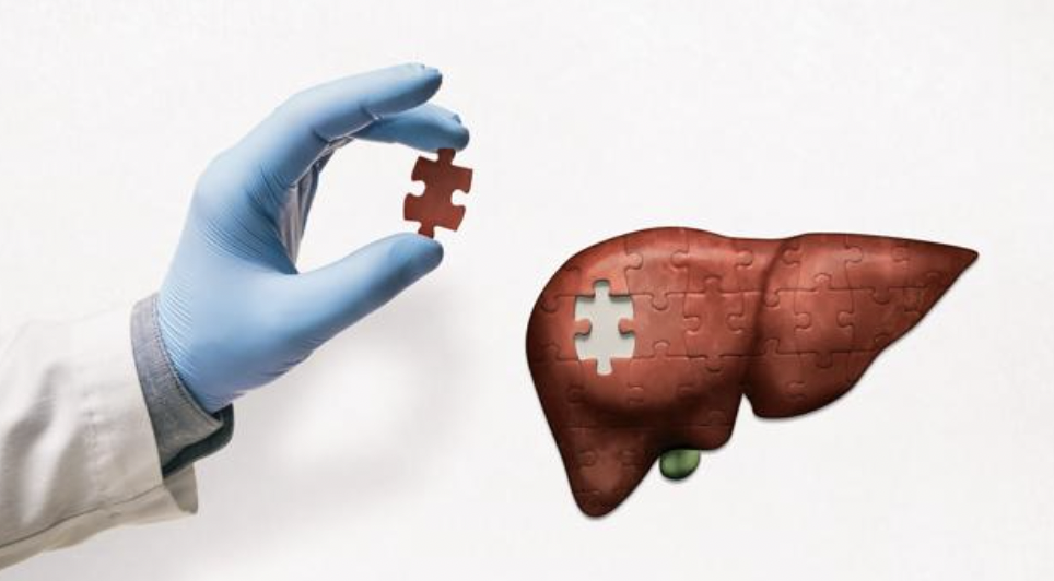 Sicilia in prima linea: boom di trapianti e nuove sfide per il futuro della donazione