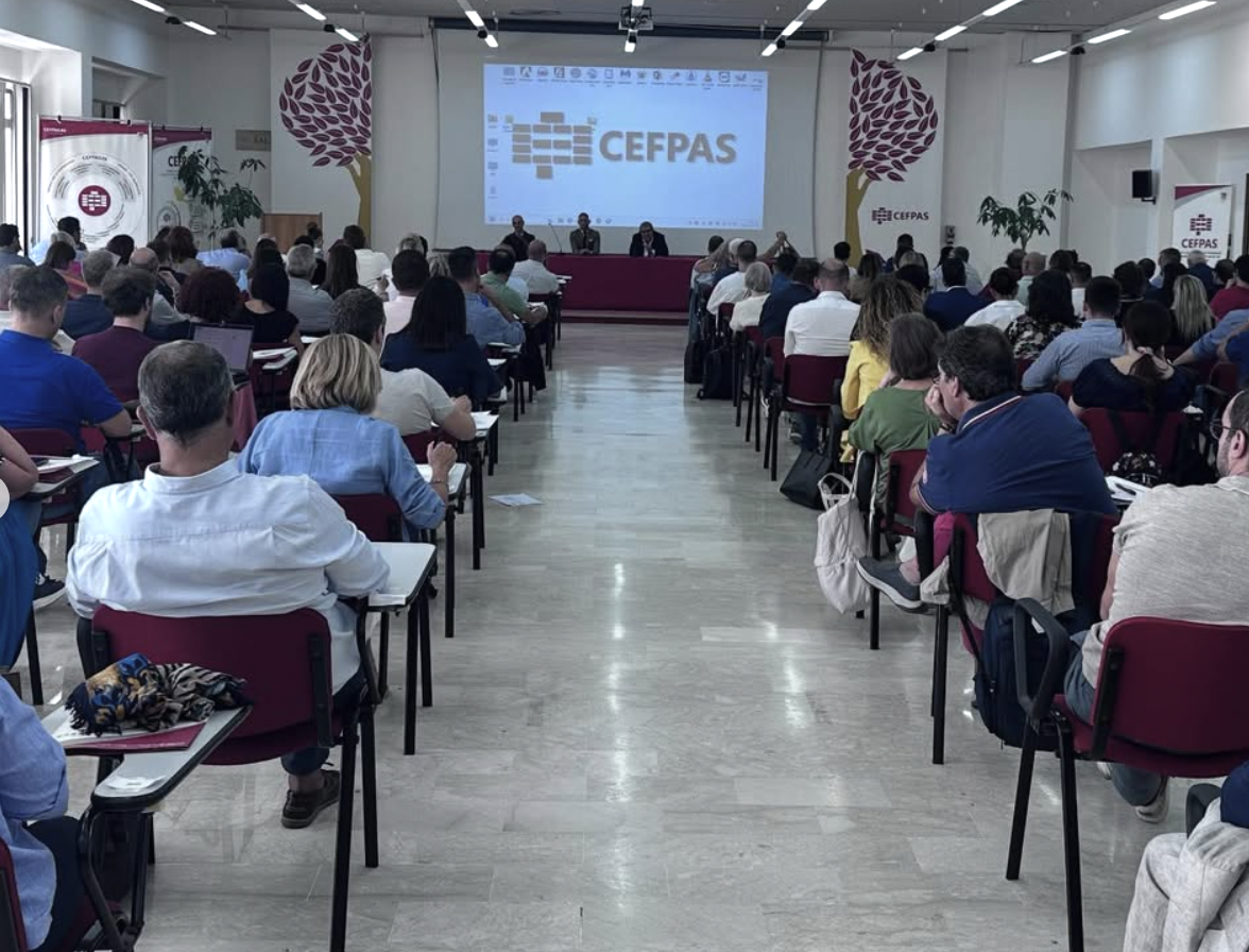 Al CEFPAS avviata la formazione sul Fascicolo Sanitario Elettronico: coinvolti 400 professionisti del SSR siciliano