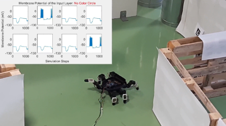 La Robotica Bioispirata presso UNICT: dagli insetti agli insettoidi