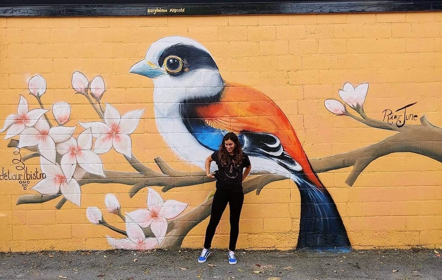 murale l'eurylaime de gould ou argent�eriver-june-montreal (1).jpeg