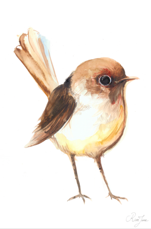 petit-moineau