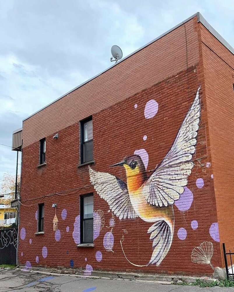 river june montreal murale julia derdour oiseaux urbaine hochelaga (2).jpeg