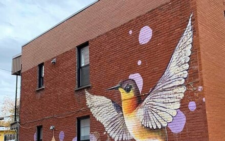 river june montreal murale julia derdour oiseaux urbaine hochelaga (2).jpeg