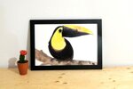 toucan-toco
