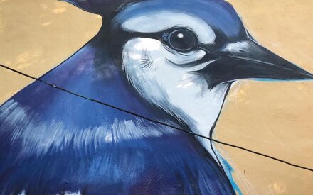 murale%20geai%20bleu%20â%20commande%20privÃ©e%20(2021)-river-june-montreal%20(5).jpeg