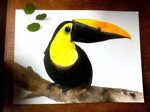 toucan-toco