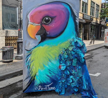 5.%20murale%20petite%20perruche%20Ã %20collier%20(2021)-river-june-montreal%20(2).jpeg