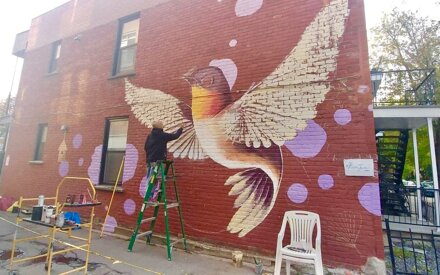 river%20june%20montreal%20murale%20%20julia%20derdour%20oiseaux%20urbaine%20hochelaga%20(2).jpeg