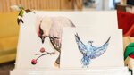 caribou