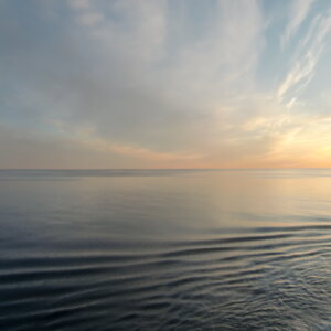 img_3557.jpeg