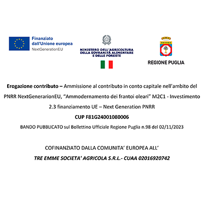 carosello%20(6).jpeg carosello%20(6).jpeg
