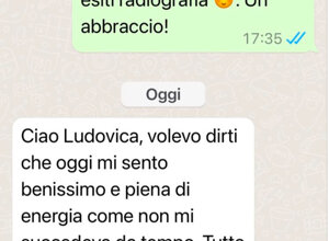 img_7852.jpeg img_7852.jpeg