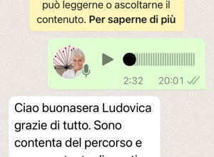 img_7713.jpeg img_7713.jpeg