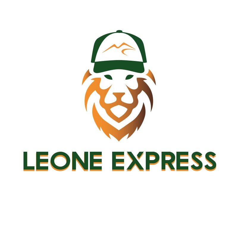 Leone Express: il nuovo corriere espresso che rivoluziona le spedizioni da Napoli!