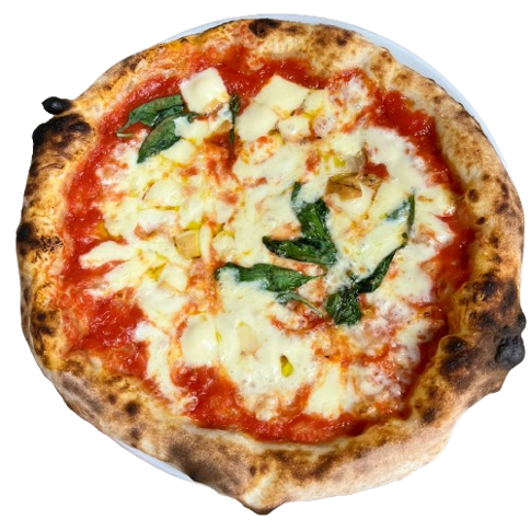49-removebg-preview (1)