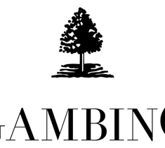 bw%20logo%20black