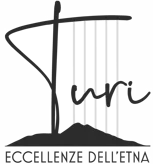 logo turi_corretto