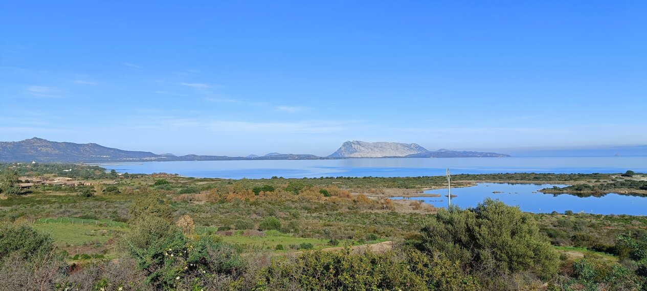 whatsapp image 2025-07-16 at 15.28.45 (1).jpeg