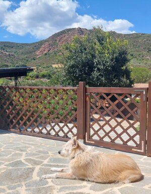 Strutture Pet Friendly Sardegna