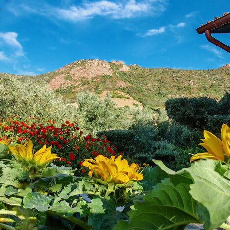 traghettilines-336x280