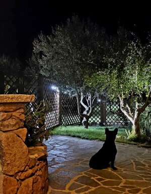 Strutture Pet Friendly Sardegna