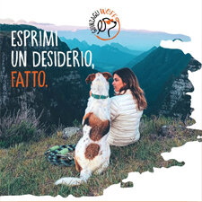 love-pet.jpeg love-pet.jpeg