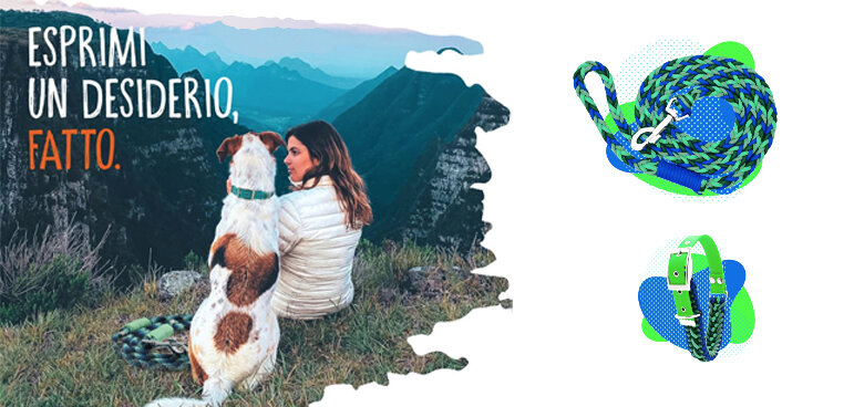 GUINZAGLI WOFF: PASSEGGIATE SU MISURA (DI STILE)