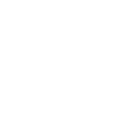 logo stelle bianconere bianco-02