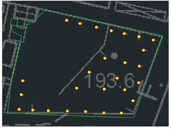 pianta1.jpeg pianta1.jpeg