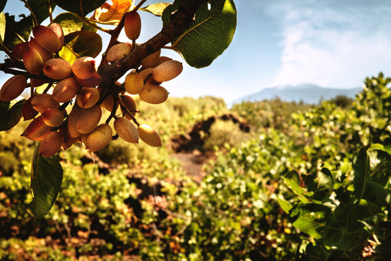 producto-ejemplo-uno