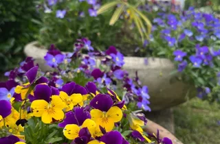 Giardino dell'agriturismo e ristorante a Mortegliano (UD) - Al Buttasella