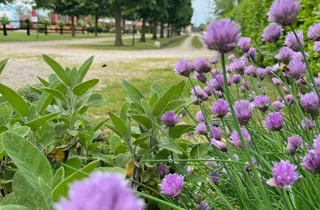 Giardino dell'agriturismo e ristorante a Mortegliano (UD) - Al Buttasella