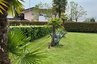 Giardino dell'agriturismo e ristorante a Mortegliano (UD) - Al Buttasella