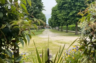 Giardino dell'agriturismo e ristorante a Mortegliano (UD) - Al Buttasella