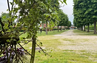 Giardino dell'agriturismo e ristorante a Mortegliano (UD) - Al Buttasella