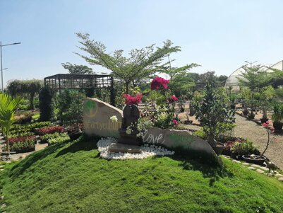 whatsapp image 2023-01-31 at 07.23.02.jpeg whatsapp image 2023-01-31 at 07.23.02.jpeg