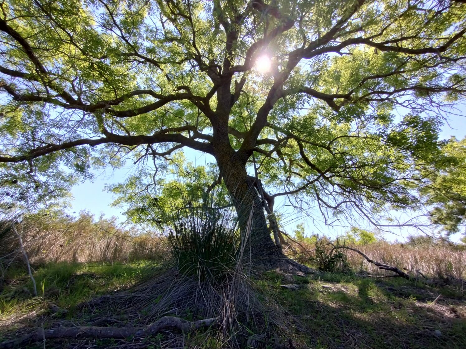 whatsapp image 2025-04-05 at 11.11.58.jpeg whatsapp image 2025-04-05 at 11.11.58.jpeg