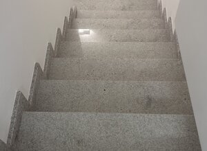 img_1811.jpeg